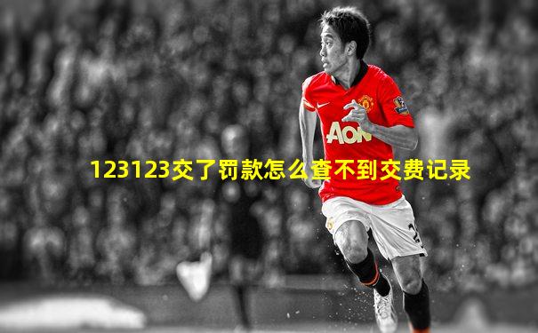 123123交了罚款怎么查不到交费记录