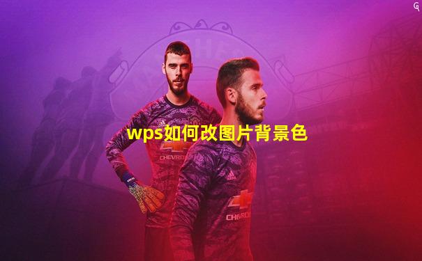 wps如何改图片背景色
