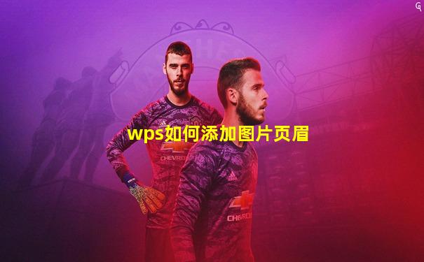 wps如何添加图片页眉