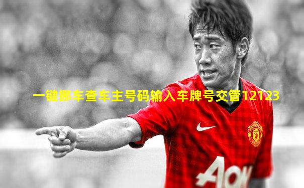 一键挪车查车主号码输入车牌号交管12123
