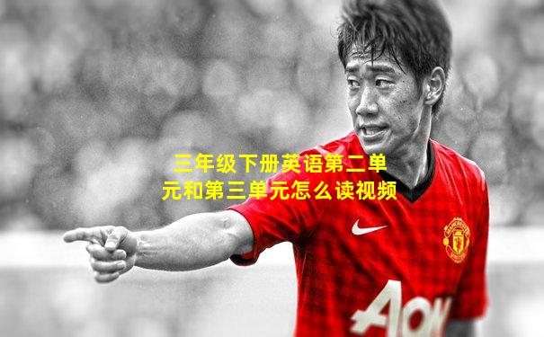 三年级下册英语第二单元和第三单元怎么读视频