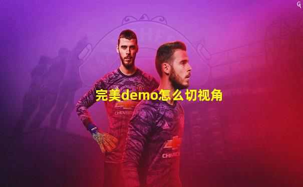 完美demo怎么切视角