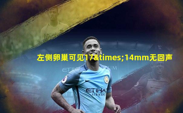 左侧卵巢可见17×14mm无回声