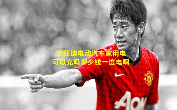 比亚迪电动汽车家用电可以充吗多少钱一度电啊