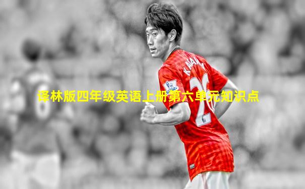 译林版四年级英语上册第六单元知识点